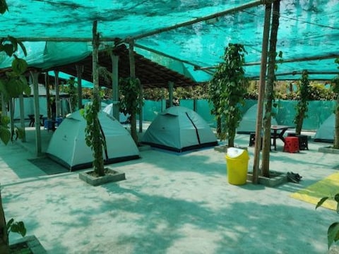Coffee-Bean Villa